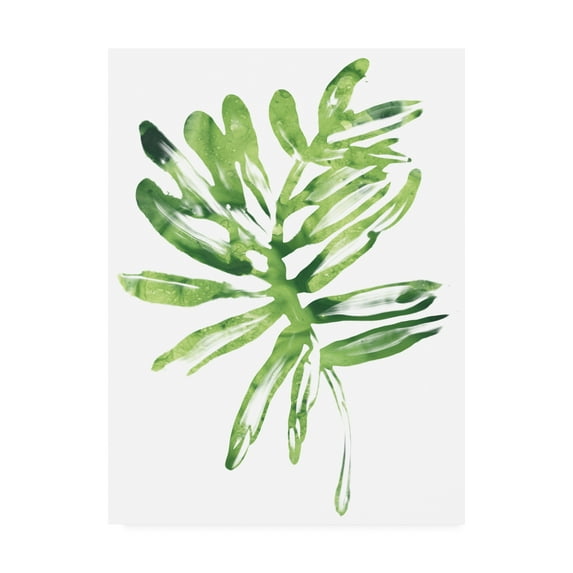 Trademark Fine Art 'Emerald Tropics III' Canvas Art by June Erica Vess