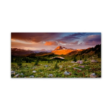 Trademark Fine Art 'Emerging Glory' Canvas Art by Dan Ballard