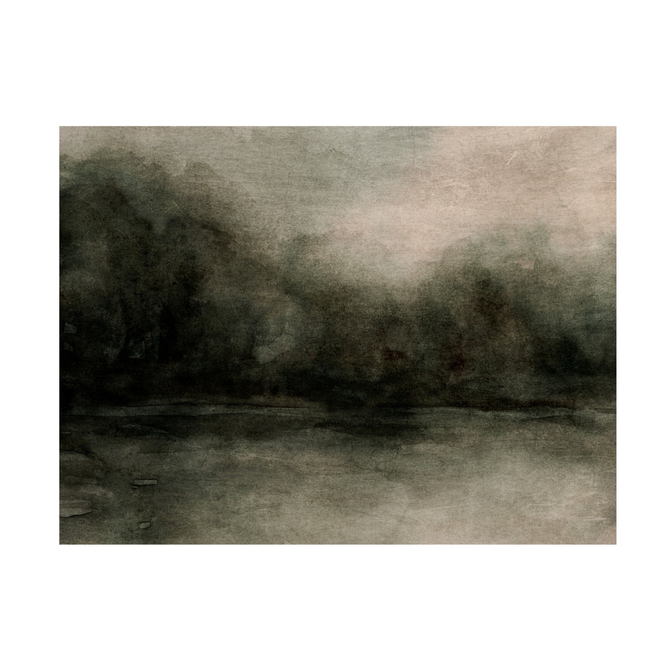 Trademark Fine Art Emma Caroline  Smoky Tree Horizon I Canvas Wall Art