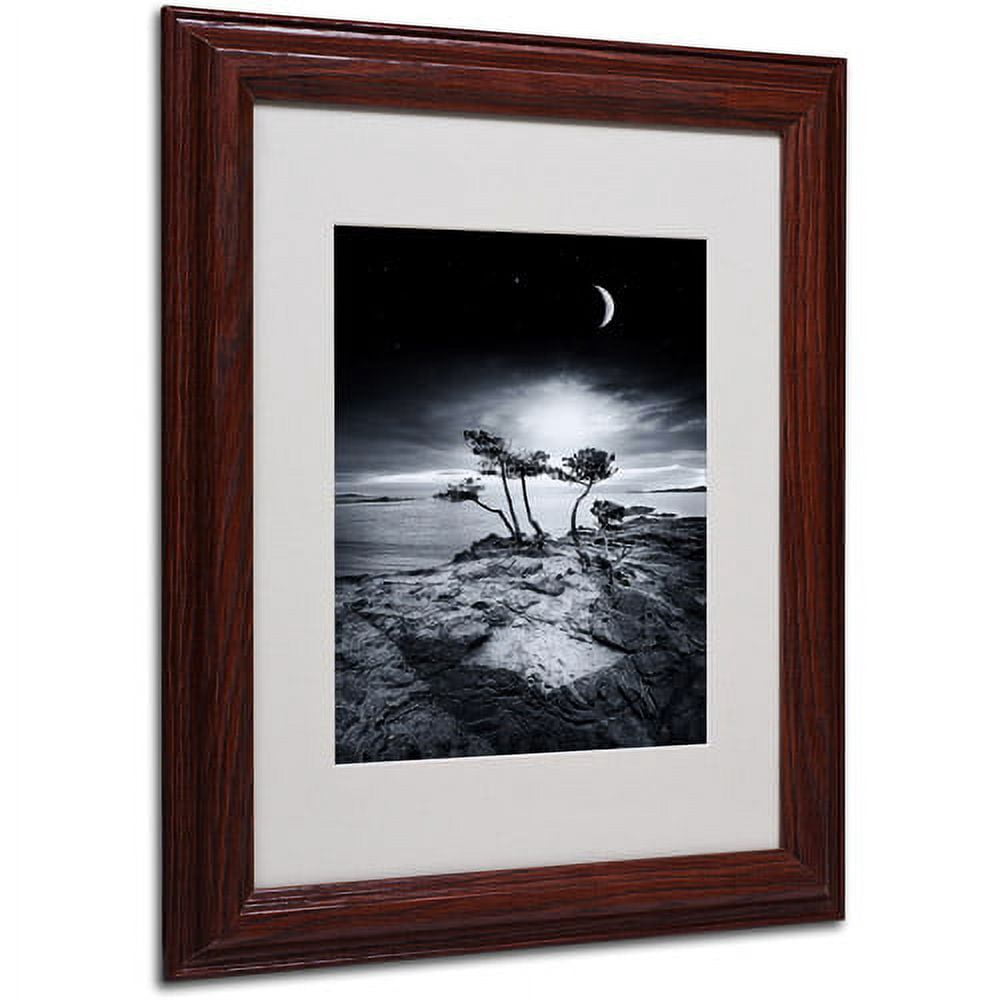 Trademark Fine Art "Emotional High" Canvas Art by Philippe Sainte-Laudy, Wood Frame