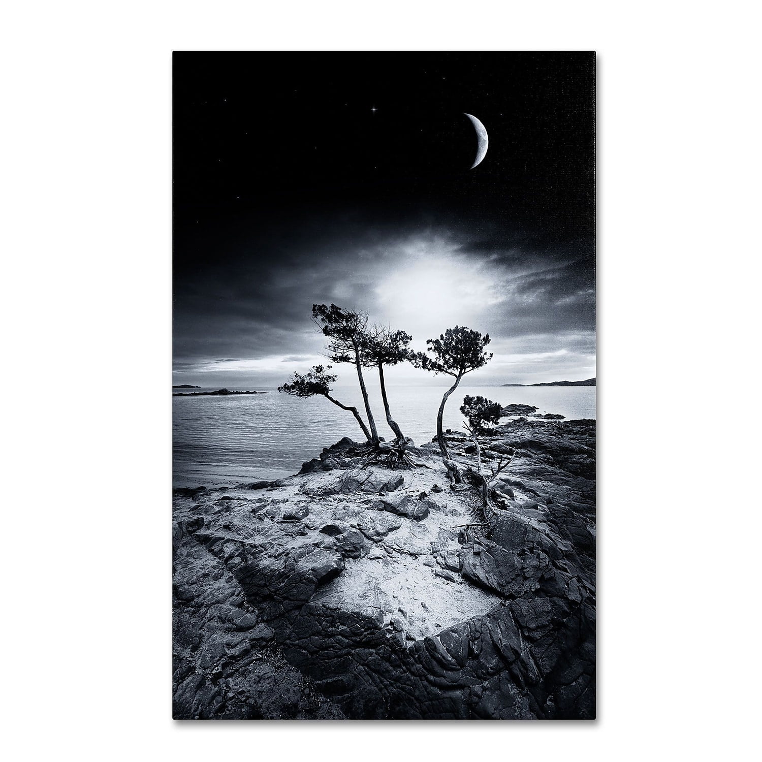 Trademark Fine Art "Emotional High" Canvas Art by Philippe Sainte-Laudy