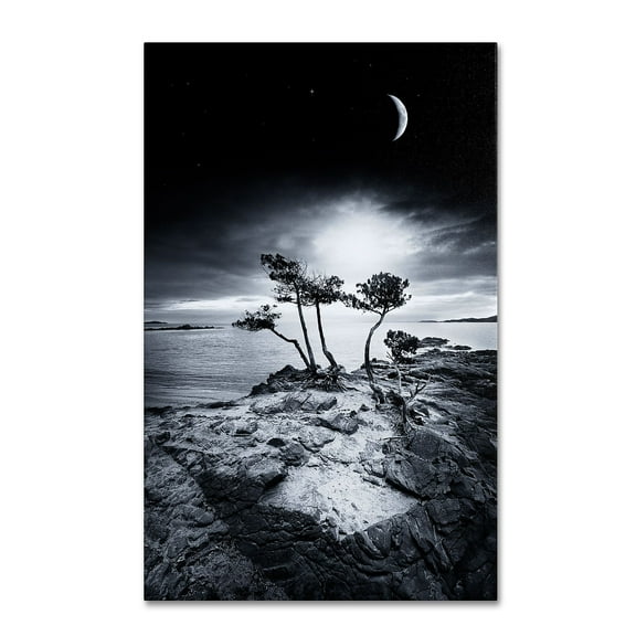 Trademark Fine Art "Emotional High" Canvas Art by Philippe Sainte-Laudy