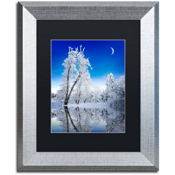 Trademark Fine Art "Emotive Ballad Canvas Art" Canvas Art by Philippe Sainte-Laudy, Black Matte, Silver Frame