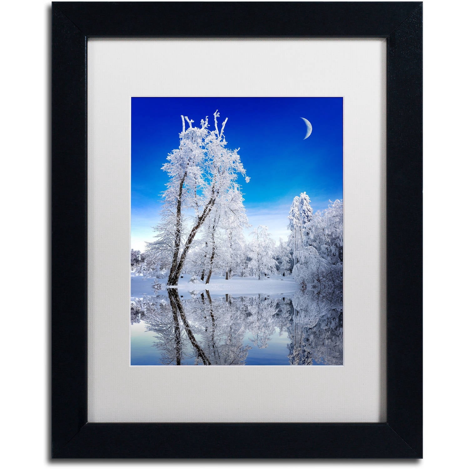 Trademark Fine Art "Emotive Ballad Canvas Art" Canvas Art by Philippe Sainte-Laudy, White Matte, Black Frame