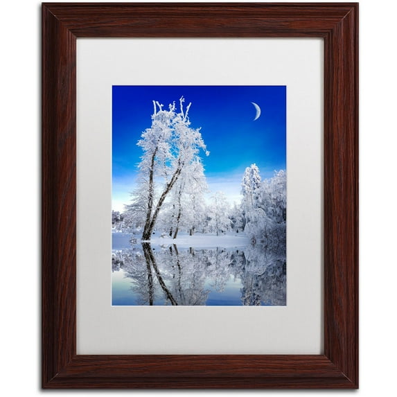 Trademark Fine Art "Emotive Ballad Canvas Art" Canvas Art by Philippe Sainte-Laudy, White Matte, Wood Frame