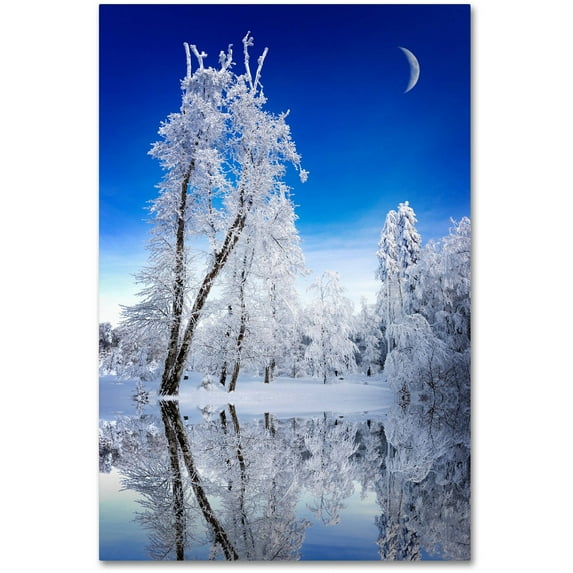 Trademark Fine Art "Emotive Ballad Canvas Art" Canvas Art by Philippe Sainte-Laudy