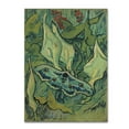 thumbnail image 1 of Trademark Fine Art 'Emperor Moth' Canvas Art by Van Gogh, 1 of 3