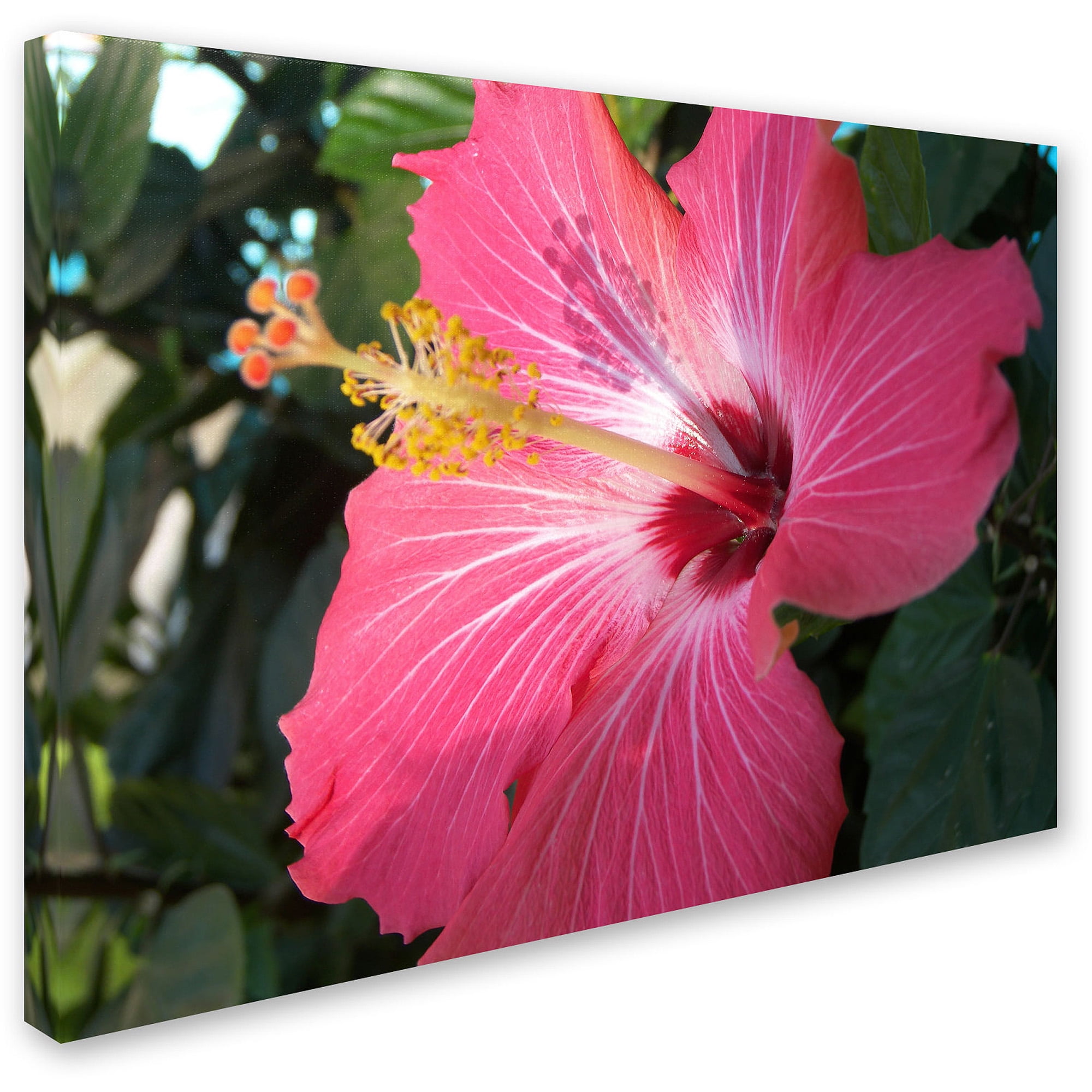 Trademark Fine Art "Empowering Bliss" Canvas Art by Monica Fleet