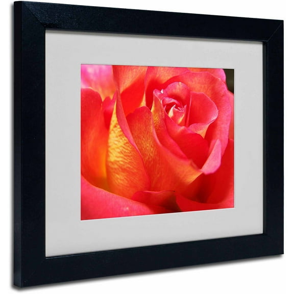 Trademark Fine Art "Empowering Heart" Canvas Art by Monica Fleet, Black Frame