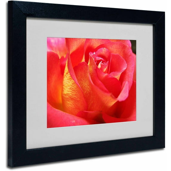 Trademark Fine Art "Empowering Heart" Canvas Art by Monica Fleet, Black Frame