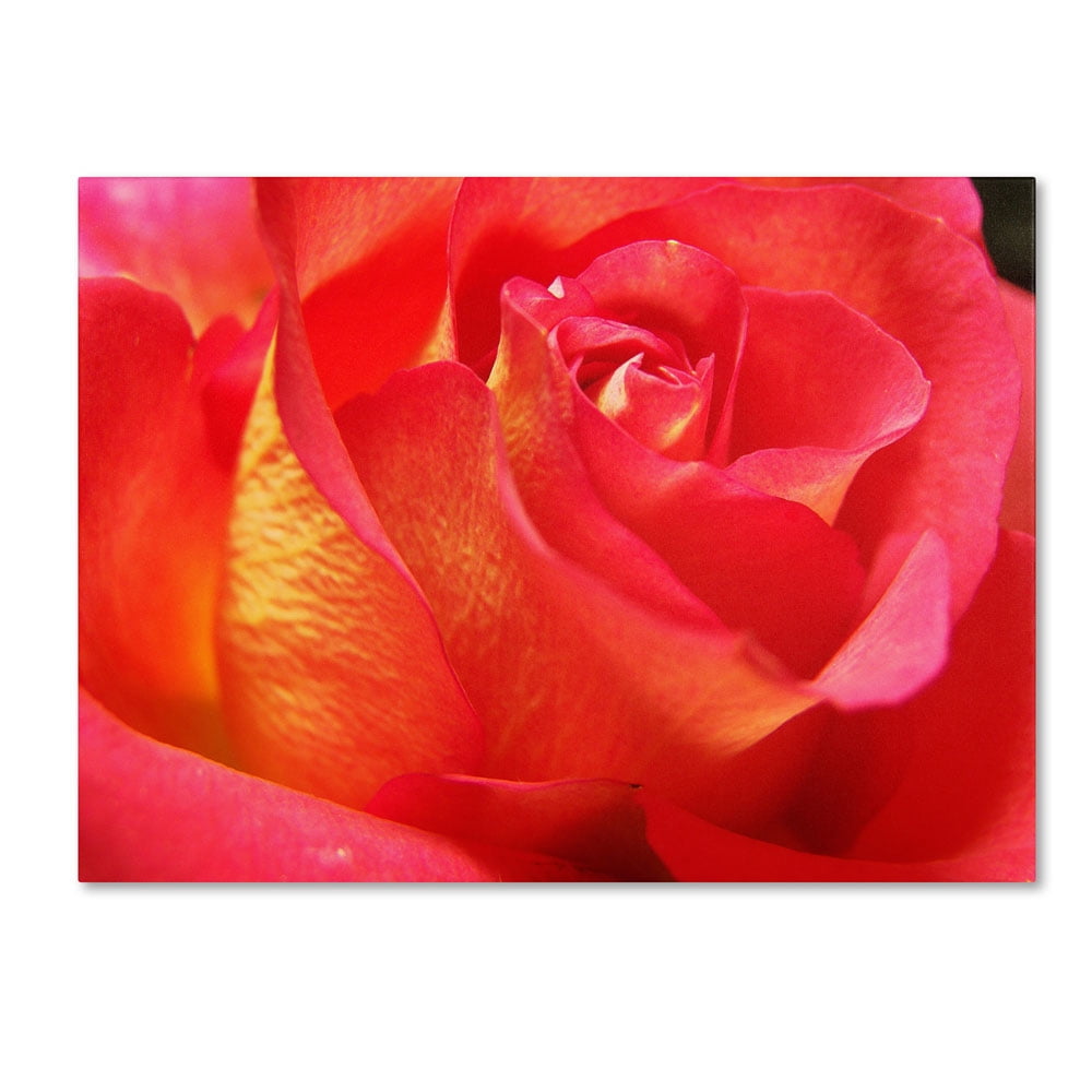 Trademark Fine Art "Empowering Heart" Canvas Art by Monica Fleet