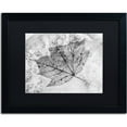 thumbnail image 1 of Trademark Fine Art "Encased in Ice" Canvas Art by Jason Shaffer, Black Matte, Black Frame, 1 of 1