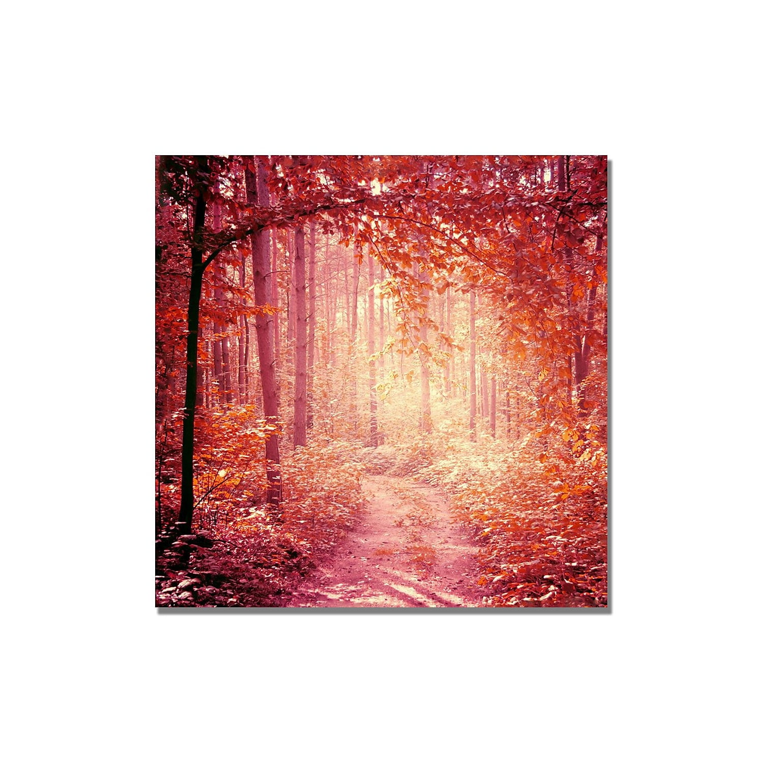 Enchanted Forest Red and Orange Landscape Canvas Art
