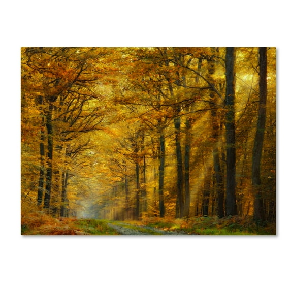 Trademark Fine Art 'Enchanted Forest' Canvas Art by Marianna Safronova