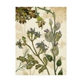 thumbnail image 1 of Trademark Fine Art 'Enchanted I' Canvas Art by Melissa Wang, 1 of 4