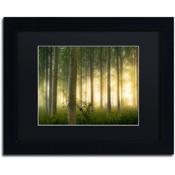 Trademark Fine Art "Enchanted World" Canvas Art by Mathieu Rivrin, Black Matte, Black Frame