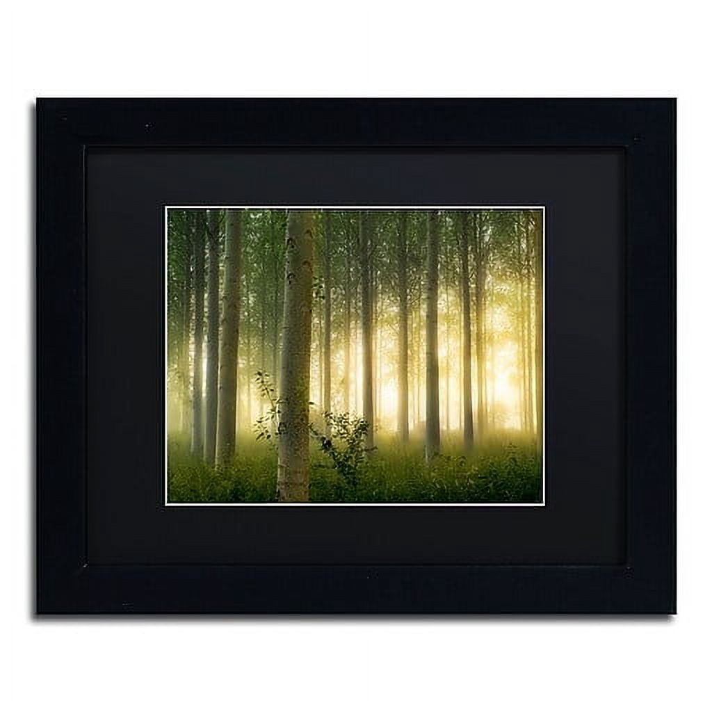 Trademark Fine Art "Enchanted World" Canvas Art by Mathieu Rivrin, Black Matte, Black Frame