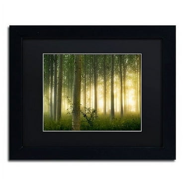 Trademark Fine Art "Enchanted World" Canvas Art by Mathieu Rivrin, Black Matte, Black Frame