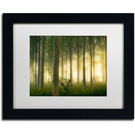 Trademark Fine Art "Enchanted World" Canvas Art by Mathieu Rivrin, White Matte, Black Frame