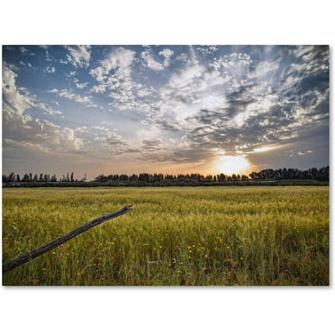 Trademark Fine Art "End of Day" Canvas Art by Giuseppe Torre