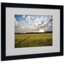 Trademark Fine Art "End of Day" by Giuseppe Torre, Black Frame