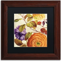 Trademark Fine Art "End of Summer III" Canvas Art by Lisa Audit, Black Matte, Wood Frame