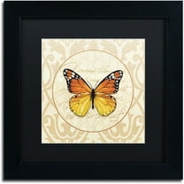 Trademark Fine Art "End of Summer IV" Canvas Art by Lisa Audit, Black Matte, Black Frame