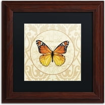 Trademark Fine Art "End of Summer IV" Canvas Art by Lisa Audit, Black Matte, Wood Frame