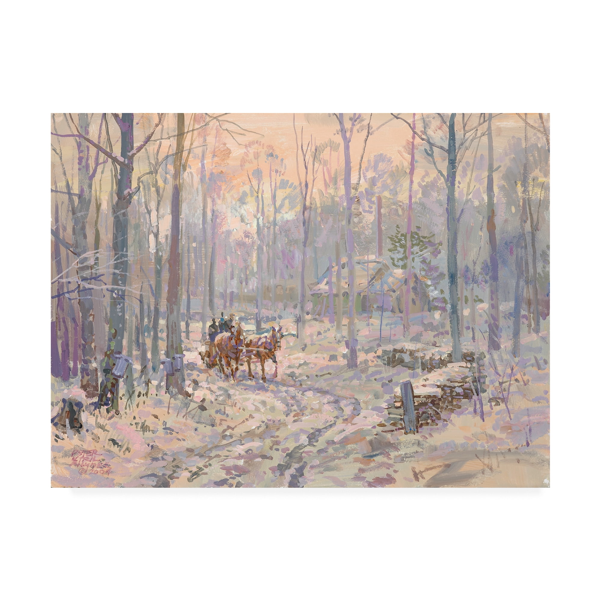 Trademark Fine Art 'End of the First Day' Canvas Art by Peter Snyder