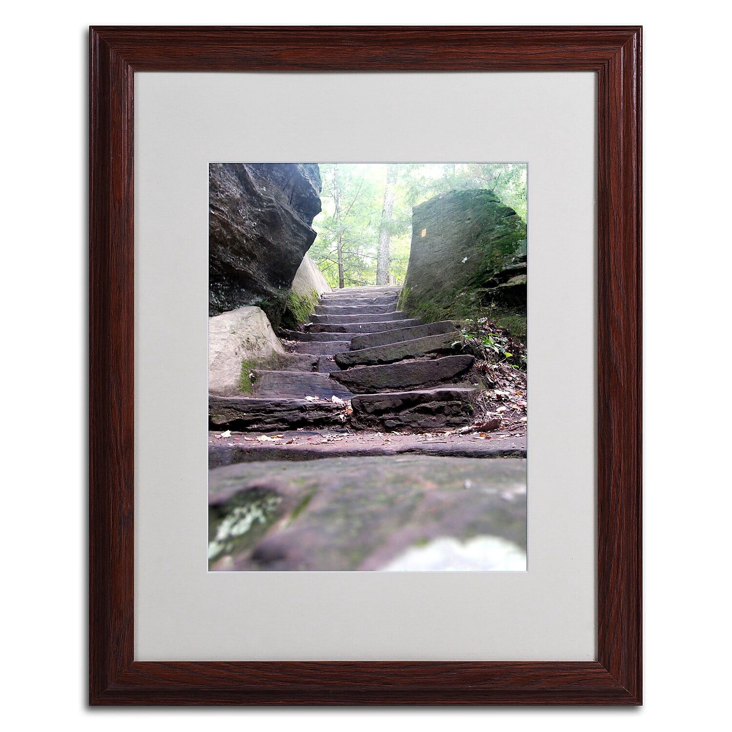 Trademark Fine Art "Endless Stairway" Canvas Art by Monica Fleet, Wood Frame