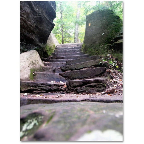 Trademark Fine Art "Endless Stairway" Canvas Art by Monica Fleet