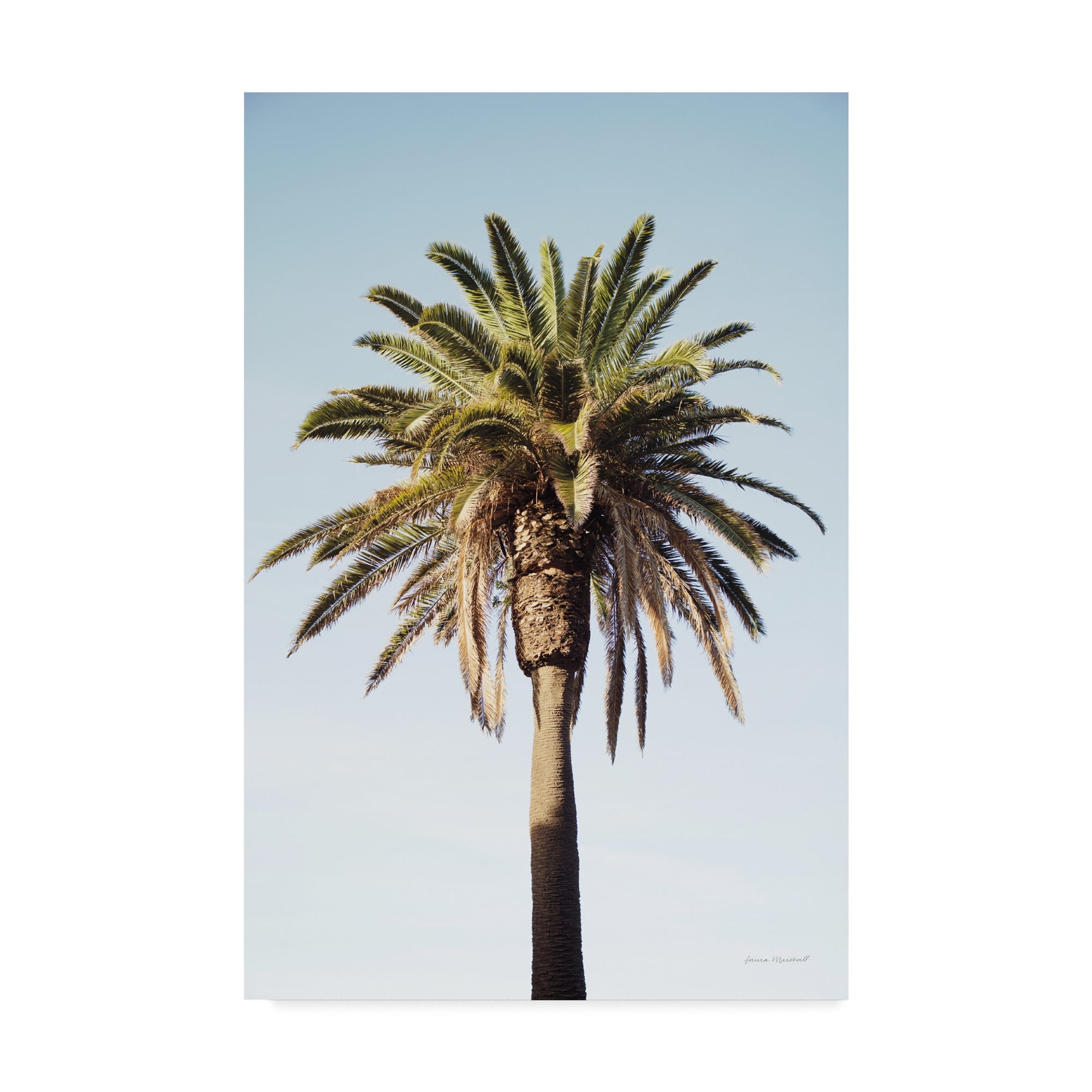 Laura Marshall Coastal Landscape Palm Tree Canvas Print, 12 x 19