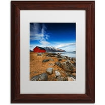 Trademark Fine Art "Endure" Canvas Art by Philippe Sainte-Laudy, White Matte, Wood Frame