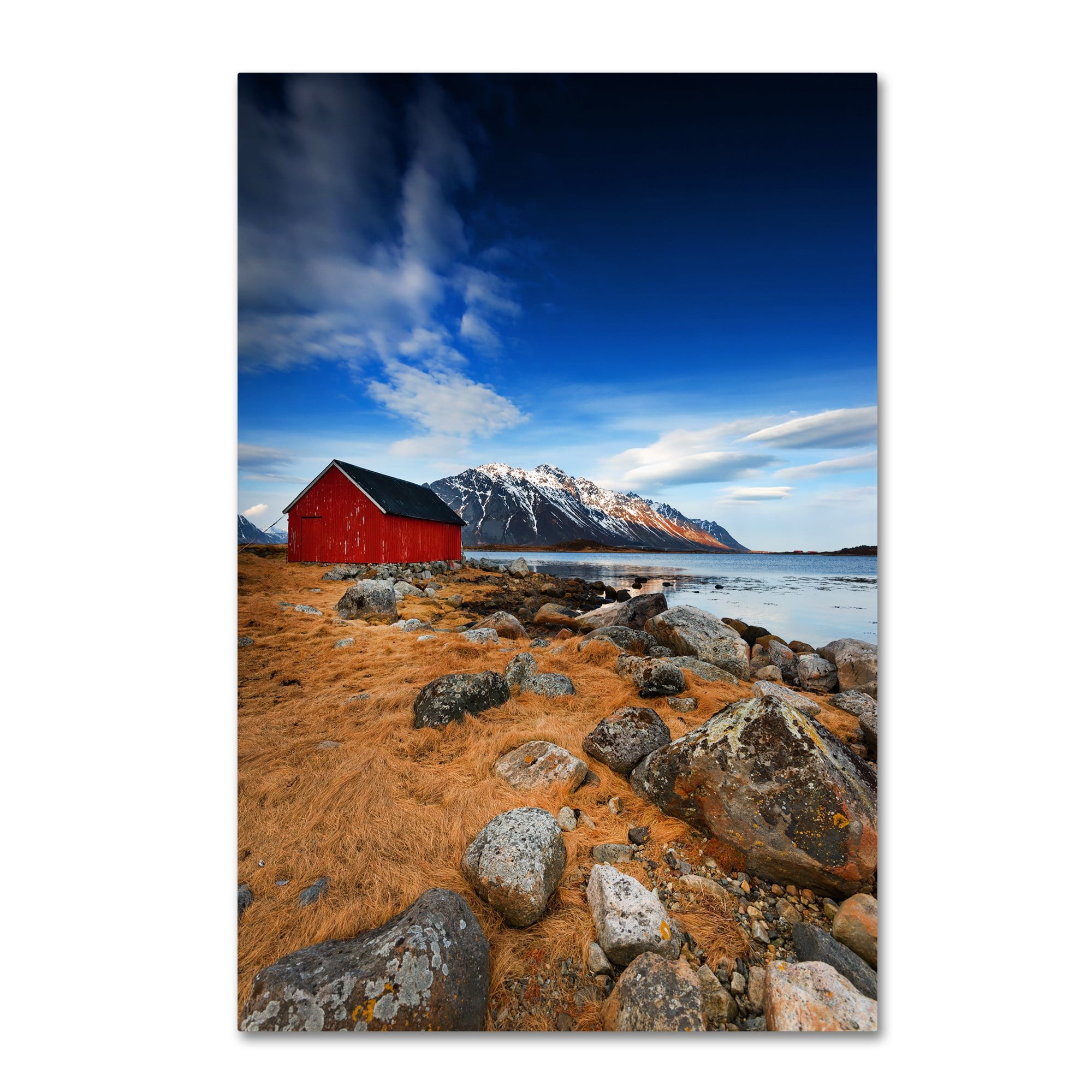 Trademark Fine Art "Endure" Canvas Art by Philippe Sainte-Laudy