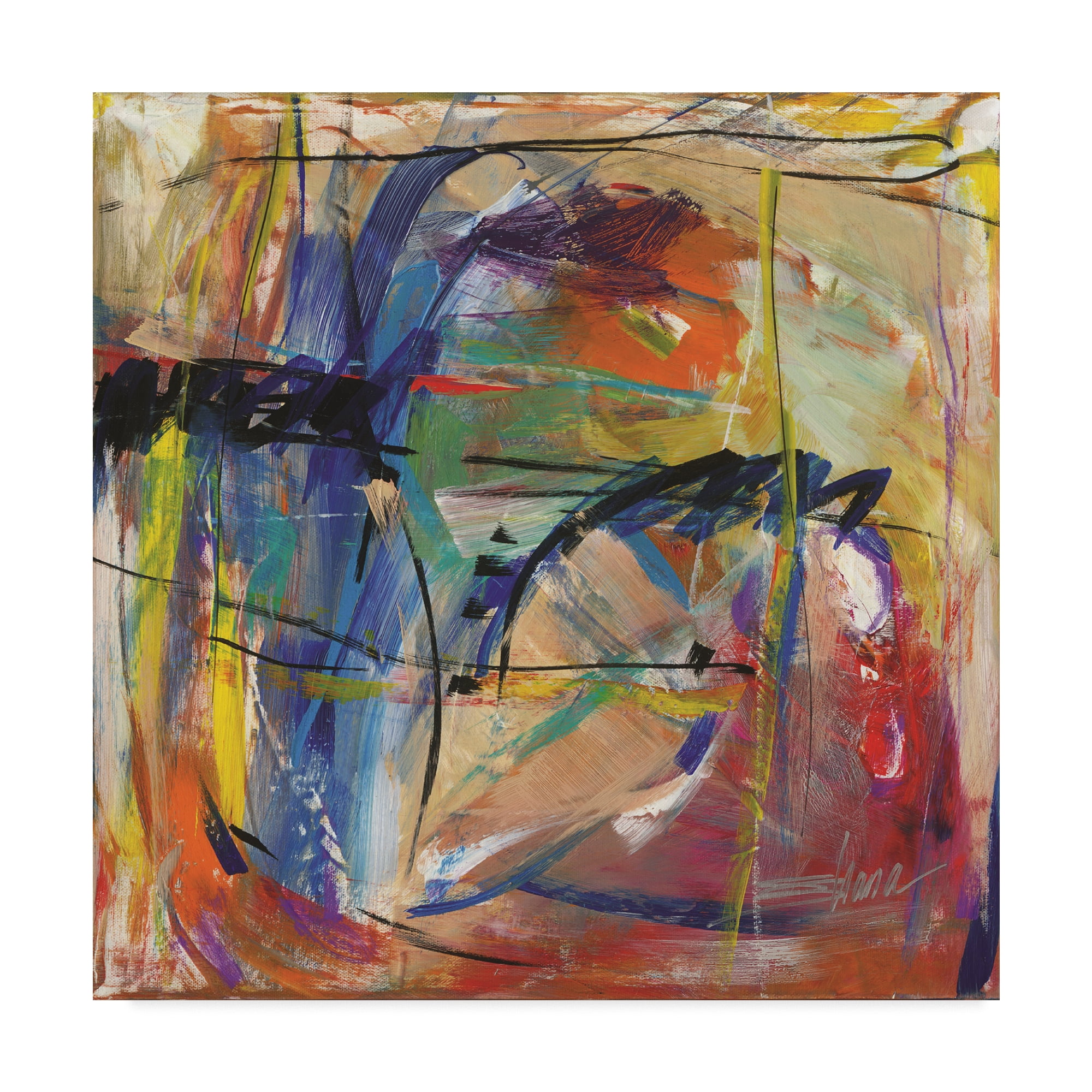 Trademark Fine Art 'Energetic Vibration' Canvas Art by Shana Dominguez