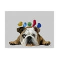 thumbnail image 1 of Trademark Fine Art 'English Bulldog and Birds' Canvas Art by Fab Funky, 1 of 3