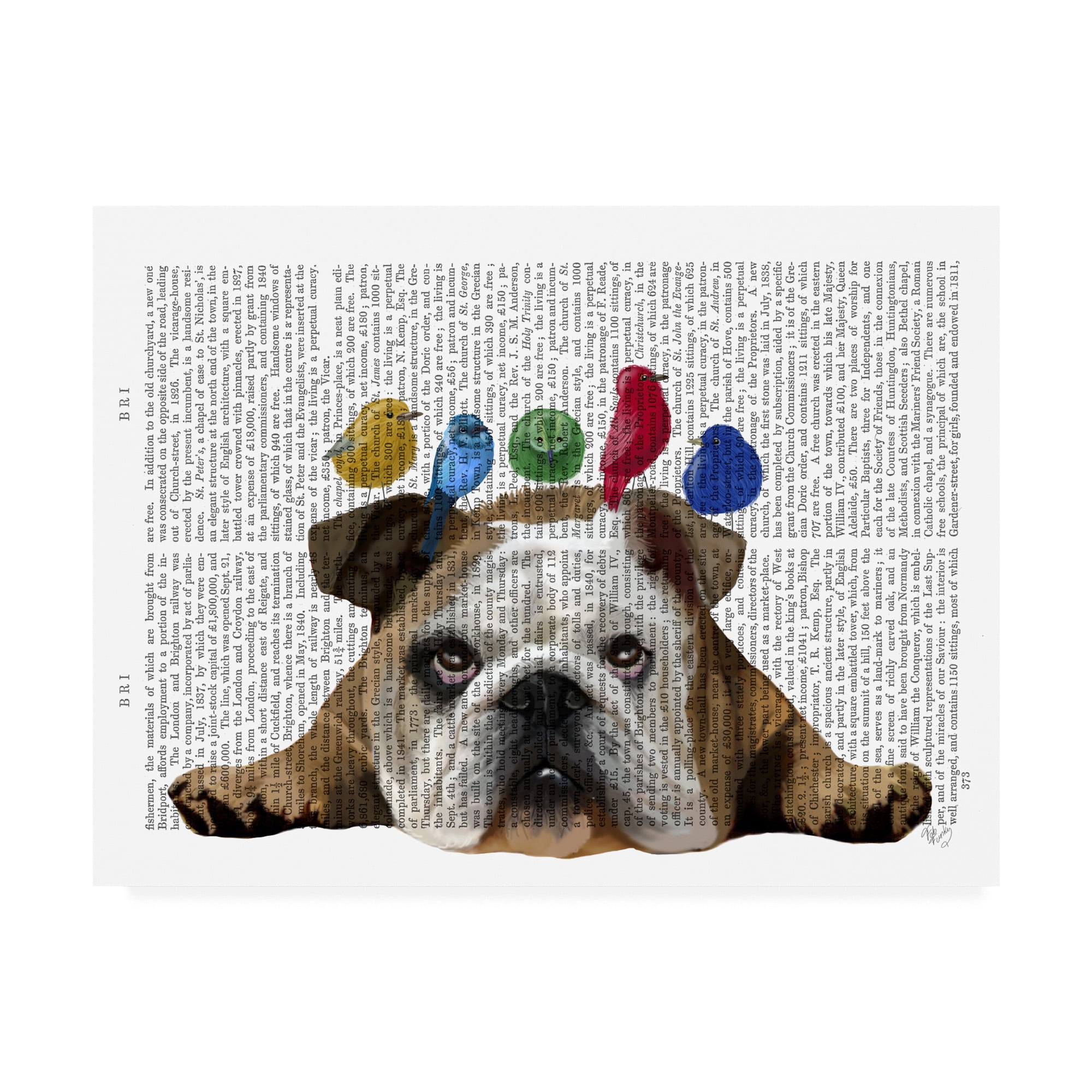 Trademark Fine Art 'English Bulldog and Birds' Canvas Art by Fab Funky