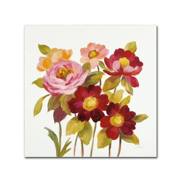 Trademark Fine Art 'English Garden IV on White' Canvas Art by Silvia Vassileva