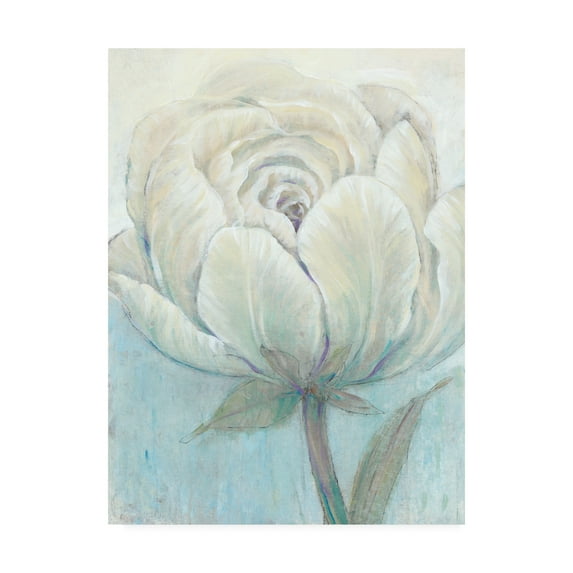Trademark Fine Art 'English Rose I' Canvas Art by Tim O'Toole