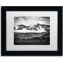 Trademark Fine Art 'Ephemeral' Canvas Art by Philippe Sainte-Laudy, White Matte, Black Frame