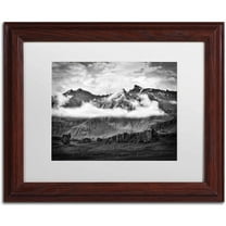 Trademark Fine Art 'Ephemeral' Canvas Art by Philippe Sainte-Laudy, White Matte, Wood Frame