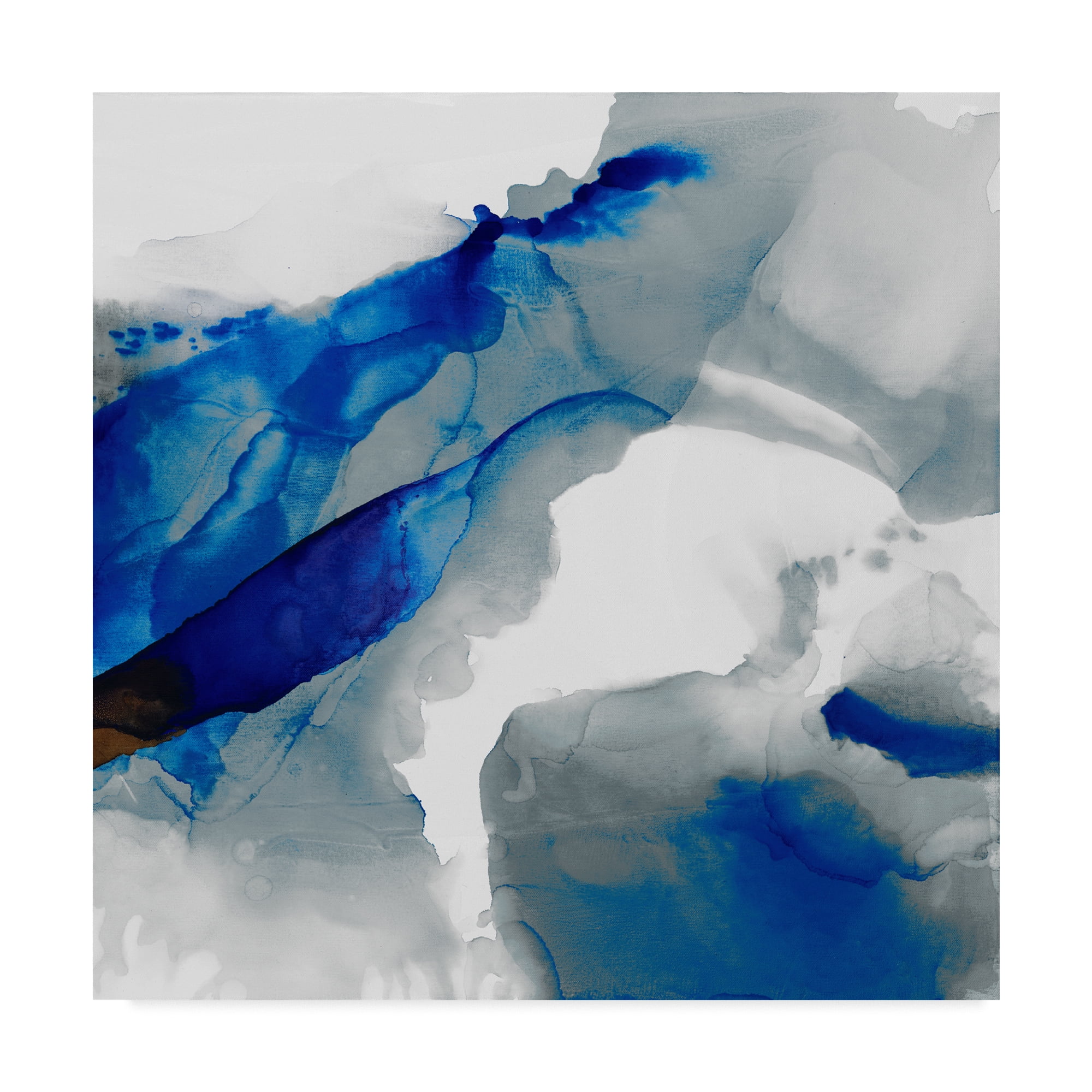 Trademark Fine Art 'Ephemeral III' Canvas Art by Sisa Jasper