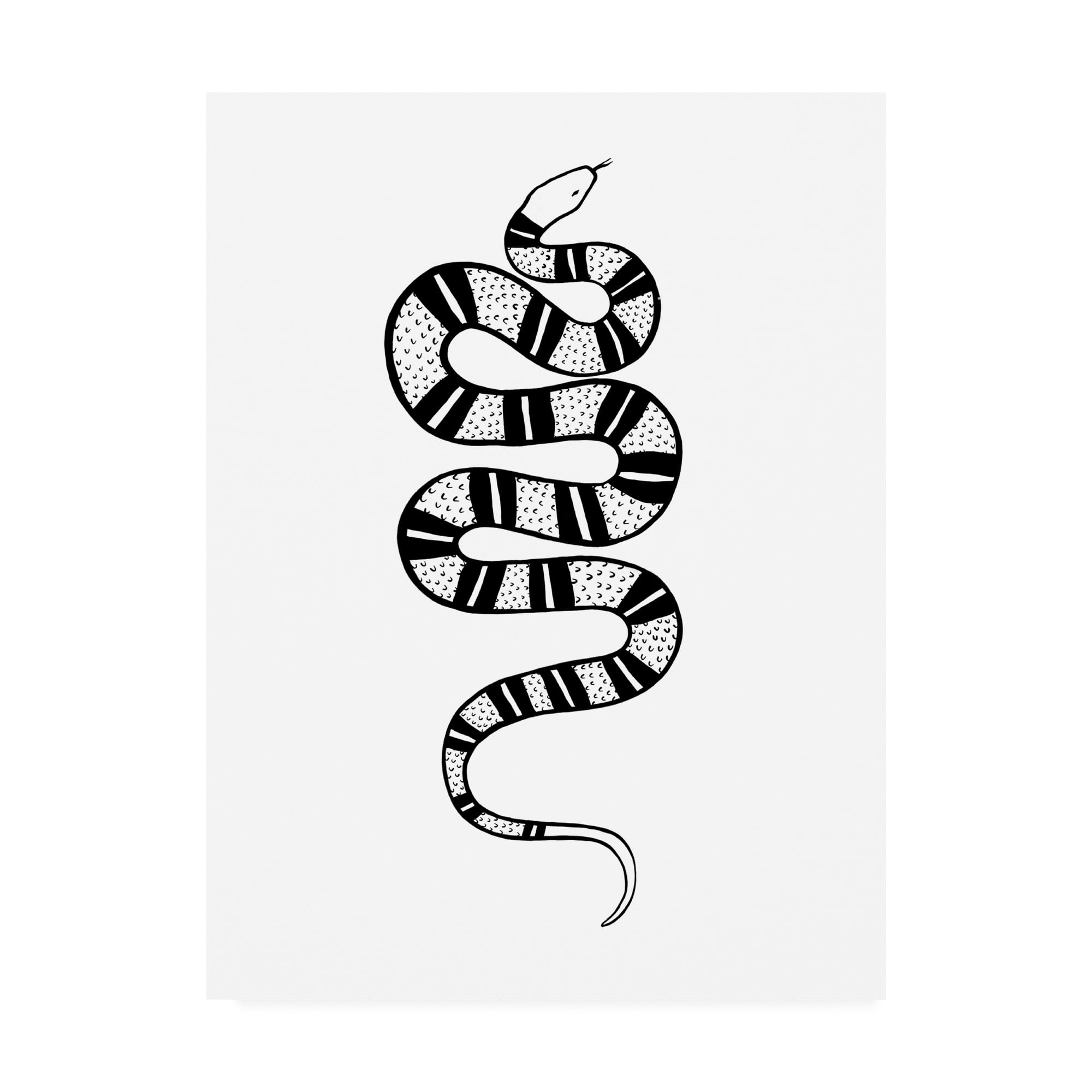Trademark Fine Art 'Epidaurus Snake IV' Canvas Art by Emma Scarvey