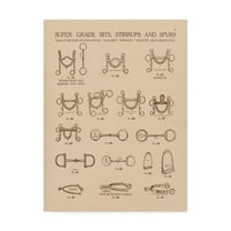 Trademark Fine Art 'Equine Riding Gear I v2' Canvas Art by Wild Apple Portfolio