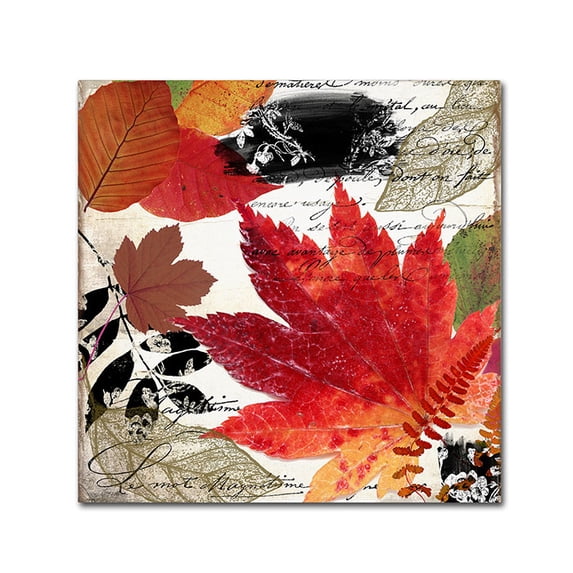 Trademark Fine Art "Equinox I" Canvas Art by Color Bakery