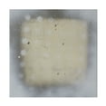 thumbnail image 1 of Trademark Fine Art Erin McGee Ferrell  Polka Squares I Canvas Wall Art, 1 of 4