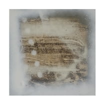 Trademark Fine Art Erin McGee Ferrell  Polka Squares III Canvas Wall Art