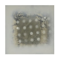 Trademark Fine Art Erin McGee Ferrell  Polka Squares IX Canvas Wall Art