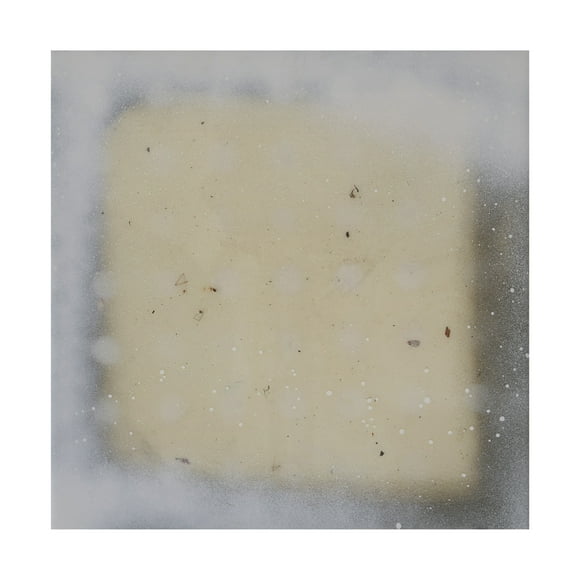 Trademark Fine Art Erin McGee Ferrell Polka Squares V Canvas Wall Art