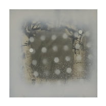 Trademark Fine Art Erin McGee Ferrell  Polka Squares VI Canvas Wall Art